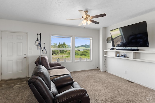 12798 King Rd, Kendrick, ID 83537 - carpeted living area featuring a ceiling fan, baseboards, and a textured ceiling