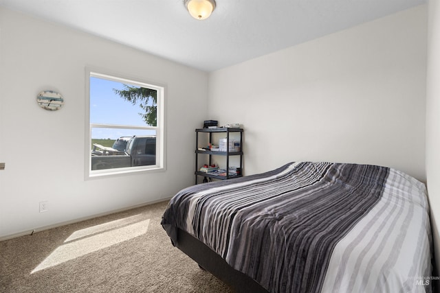 12798 King Rd, Kendrick, ID 83537 - view of carpeted bedroom