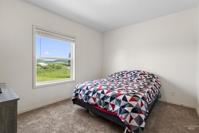 12798 King Rd, Kendrick, ID 83537 - bedroom featuring carpet and baseboards