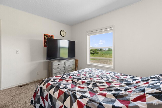 12798 King Rd, Kendrick, ID 83537 - bedroom with carpet flooring and baseboards