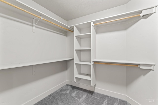 18277 N Streams Edge Way, Boise, ID 83714 - spacious closet featuring dark colored carpet