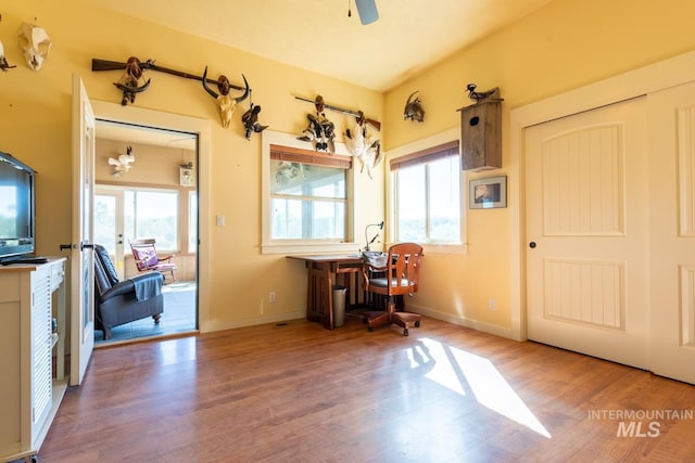 interior space featuring ceiling fan and wood-type flooring