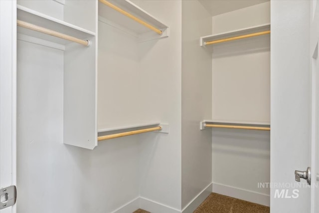 spacious closet with carpet flooring