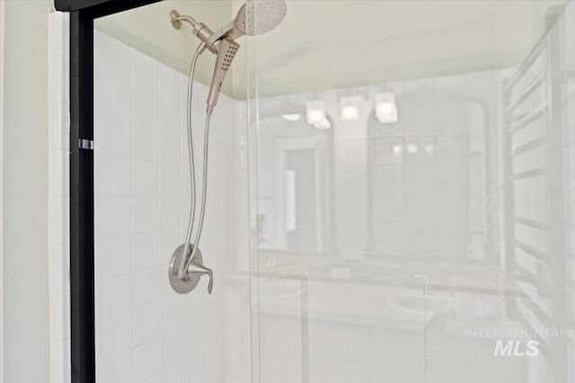 bathroom featuring a shower stall