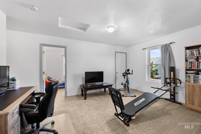 1056 S Hebgon Lake Ave, Middleton, ID 83644 - exercise area featuring a textured ceiling, light carpet, and attic access