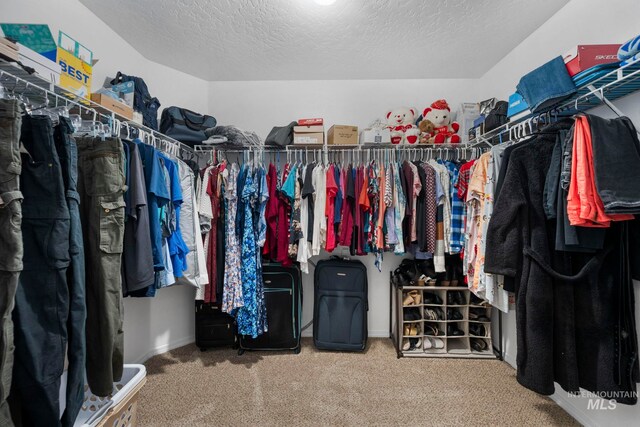 1056 S Hebgon Lake Ave, Middleton, ID 83644 - walk in closet featuring carpet flooring