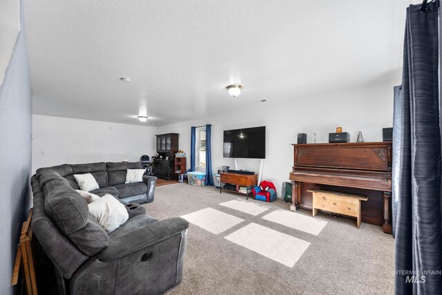 1056 S Hebgon Lake Ave, Middleton, ID 83644 - living area with carpet