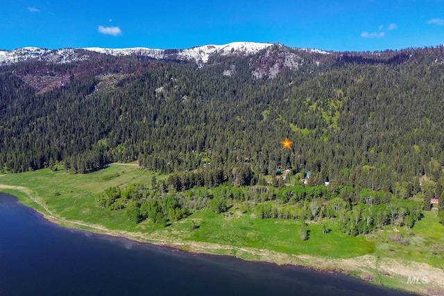 1221 Fox Rd, Cascade, ID 83611 - view of mountain backdrop with a forest and a large body of water