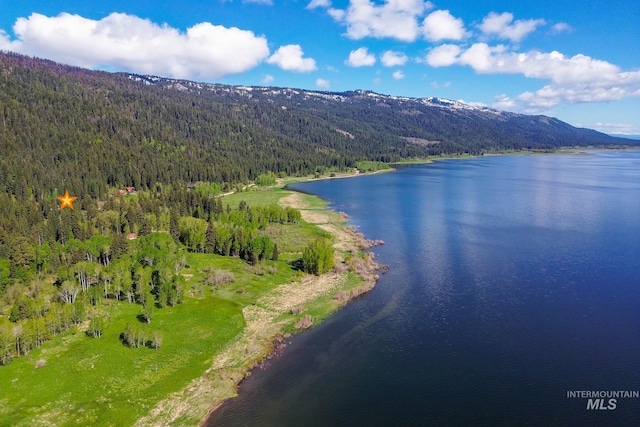 1221 Fox Rd, Cascade, ID 83611 - bird's eye view of a heavily wooded area and a water and mountain view