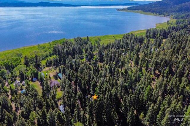 1221 Fox Rd, Cascade, ID 83611 - drone / aerial view of a water and mountain view and a forest