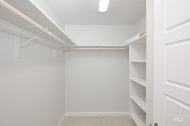 6795 W Fairy Falls Dr, Meridian, ID 83646 - walk in closet with carpet floors