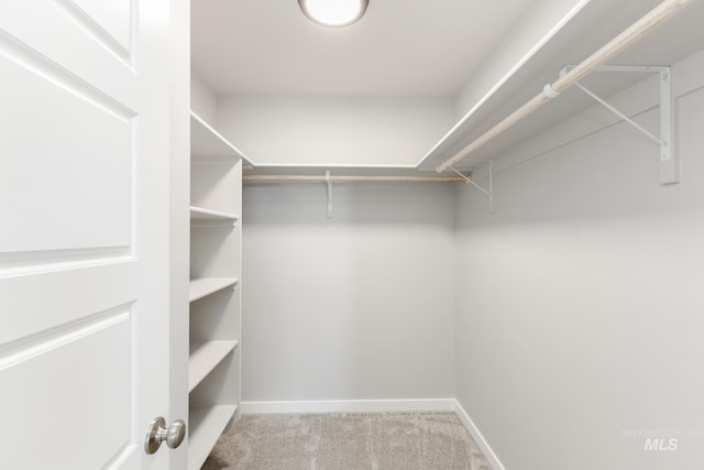 6795 W Fairy Falls Dr, Meridian, ID 83646 - spacious closet featuring carpet floors