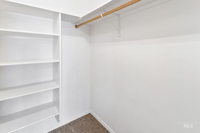 3000 E Ohio Ave, Nampa, ID 83686 - spacious closet with dark carpet