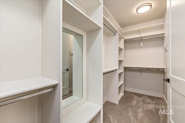 spacious closet with carpet floors