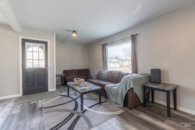 living room with a wealth of natural light and hardwood / wood-style floors