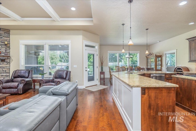 11954 W Meadowfalls Dr, Star, ID 83669 - kitchen featuring dishwasher, open floor plan, dark wood-style flooring, light stone countertops, and recessed lighting