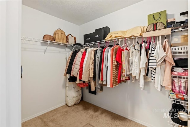4456 N Weston Ave, Meridian, ID 83646 - walk in closet with carpet