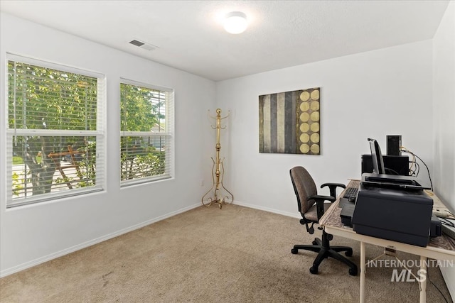 4456 N Weston Ave, Meridian, ID 83646 - office area with carpet flooring and baseboards
