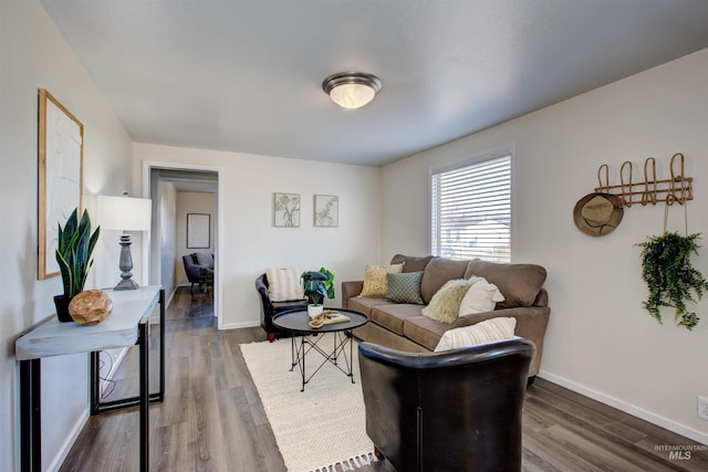 living room featuring dark hardwood / wood-style flooring