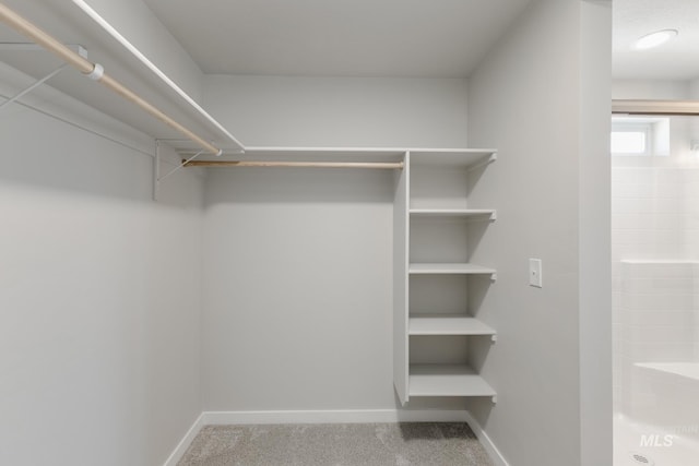5289 E Grizzly St, Nampa, ID 83687 - spacious closet featuring carpet