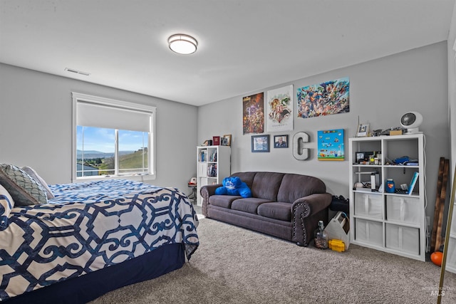 2570 Reservoir Rd, Clarkston, WA 99403 - view of carpeted bedroom