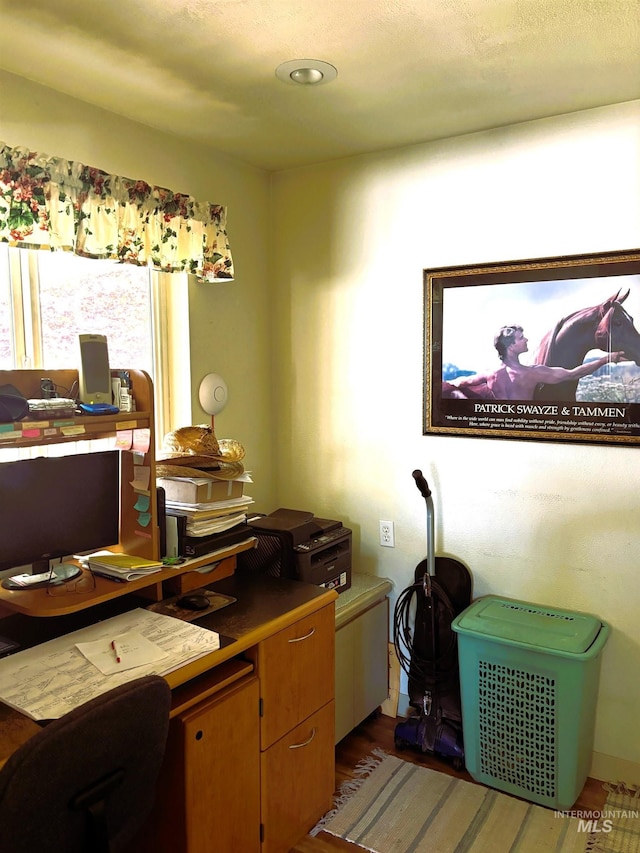 home office featuring wood finished floors