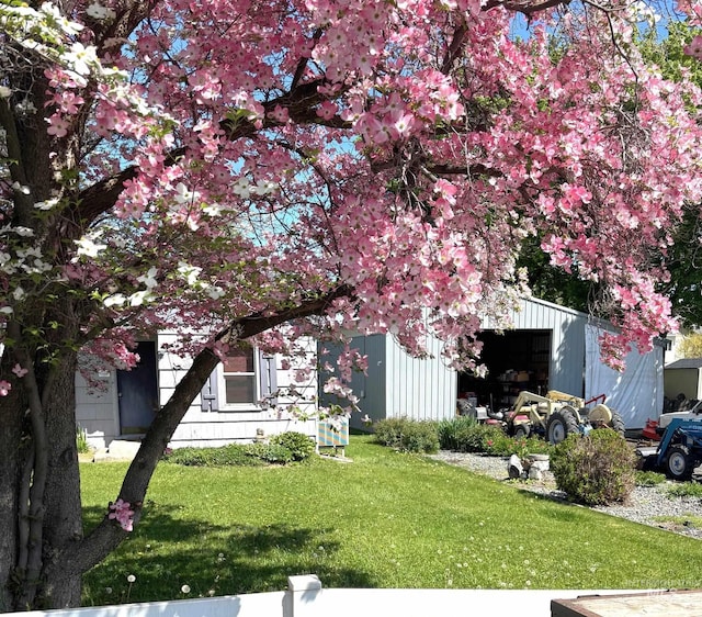 view of grassy yard with a garage and an outdoor structure