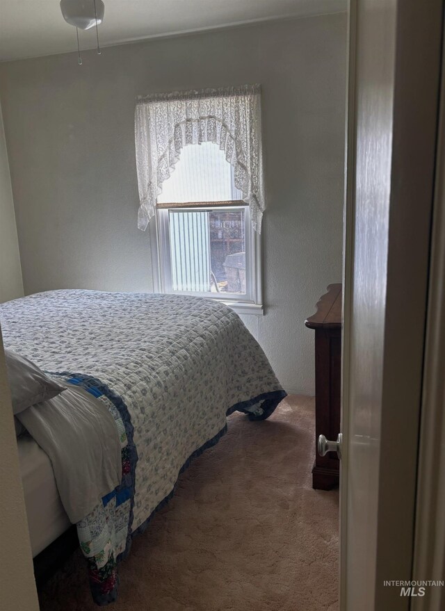 bedroom featuring carpet floors