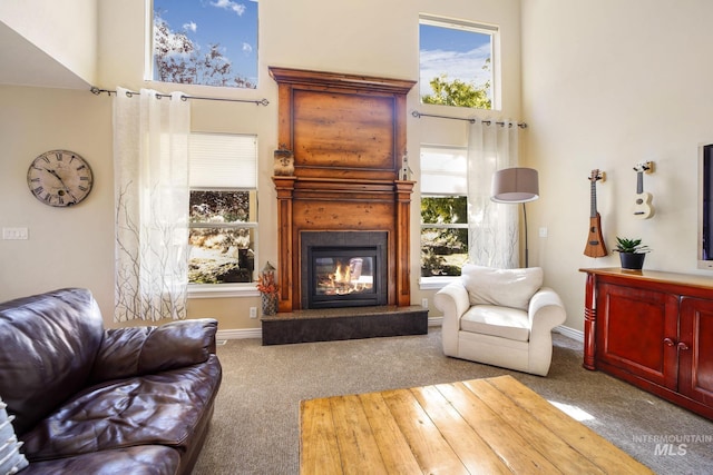 3408 Ridgeline Dr, Kimberly, ID 83341 - living room with baseboards, a towering ceiling, carpet flooring, and a glass covered fireplace