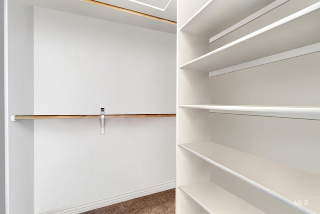 3408 Ridgeline Dr, Kimberly, ID 83341 - spacious closet with carpet