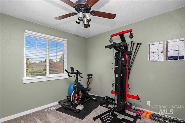 4226 E Tahiti St, Meridian, ID 83646 - exercise area with baseboards and ceiling fan