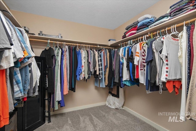 4226 E Tahiti St, Meridian, ID 83646 - walk in closet featuring carpet floors