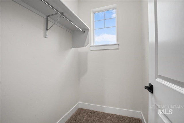 5801 W Escalante, Eagle, ID 83616 - walk in closet featuring carpet flooring