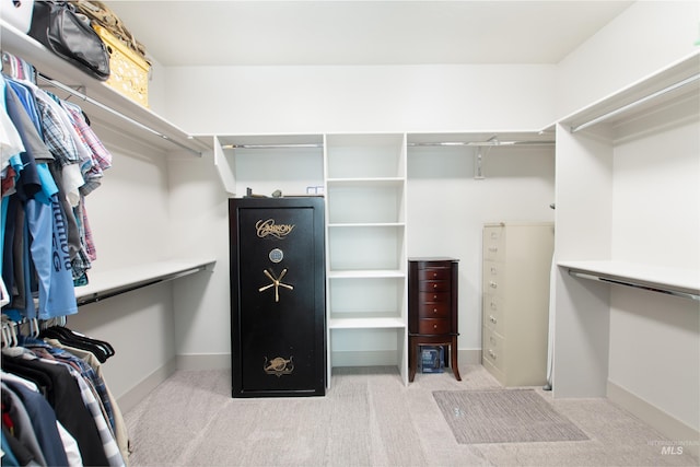 2649 E Mardia St, Meridian, ID 83642 - walk in closet with carpet flooring