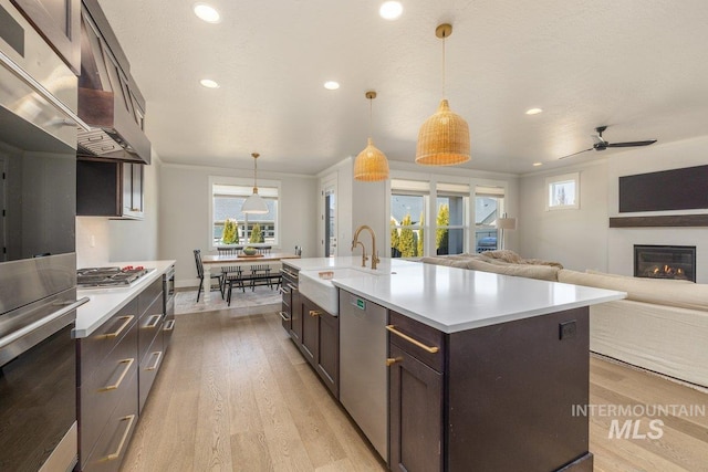 kitchen featuring a sink, dark brown cabinets, appliances with stainless steel finishes, light countertops, and light wood finished floors