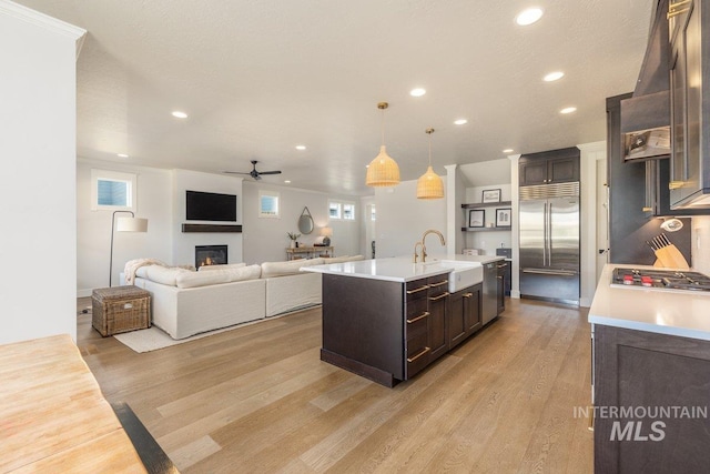 kitchen featuring dark brown cabinetry, light wood-style flooring, appliances with stainless steel finishes, and light countertops