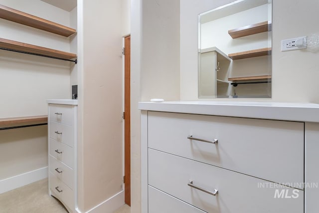 1049 E Riversong Dr, Eagle, ID 83616 - view of walk in closet