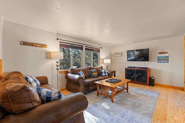 305 Gabi Ln, Mccall, ID 83638 - living room with a textured ceiling, baseboards, and wood finished floors