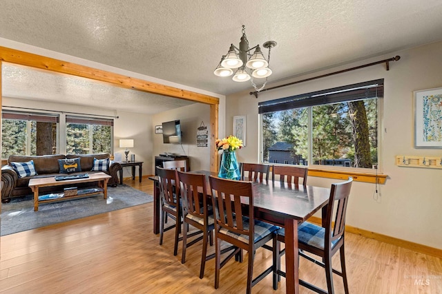 305 Gabi Ln, Mccall, ID 83638 - dining space with plenty of natural light, light wood-style flooring, and a textured ceiling