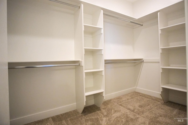 walk in closet featuring carpet floors