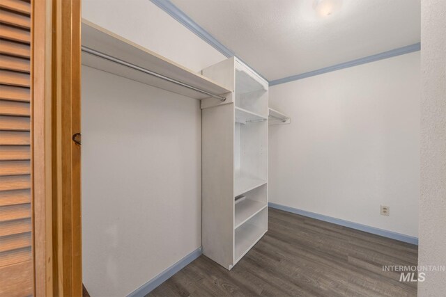 2445 Orchard Rd, Council, ID 83612 - walk in closet featuring dark wood-style floors