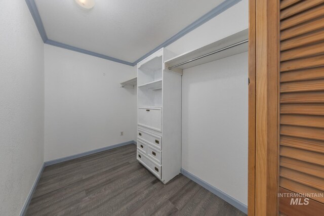 2445 Orchard Rd, Council, ID 83612 - walk in closet with dark wood-style flooring
