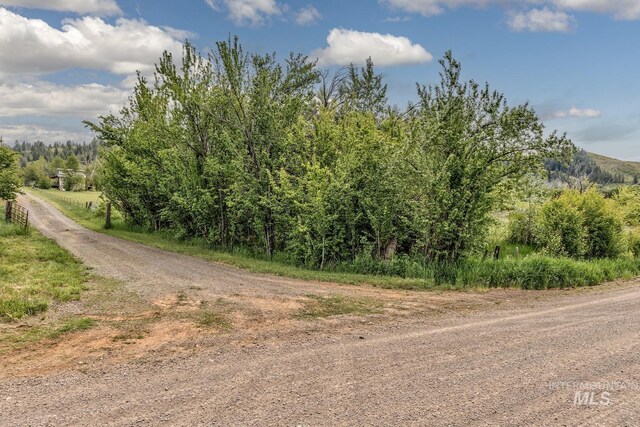 2445 Orchard Rd, Council, ID 83612 - view of dirt / gravel road