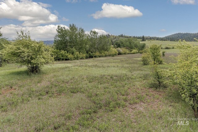 2445 Orchard Rd, Council, ID 83612 - view of local wilderness with rural landscape