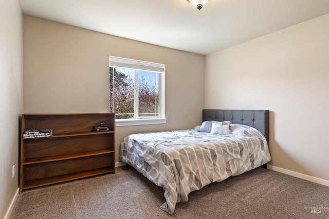 2448 Village St, Twin Falls, ID 83301 - bedroom with carpet floors and baseboards