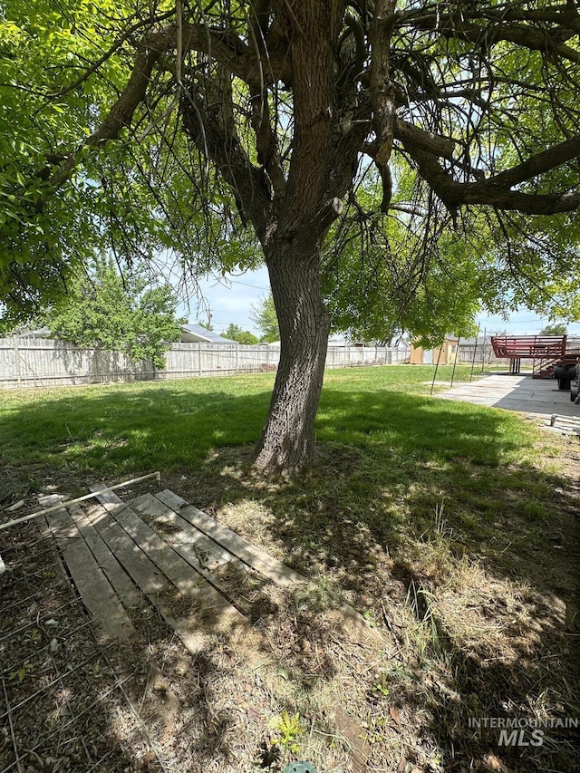 812 Thompson Ave, Nyssa, OR 97913 - view of yard
