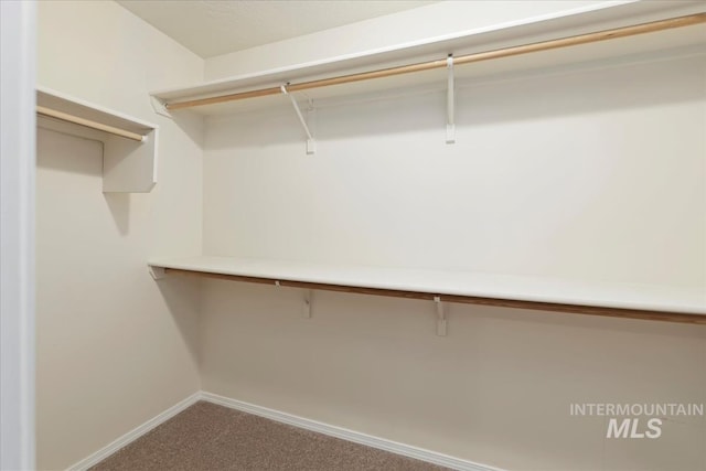 spacious closet featuring carpet floors