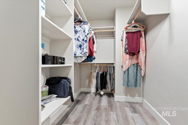 4680 N Maplestone Ave, Meridian, ID 83646 - spacious closet with wood finished floors