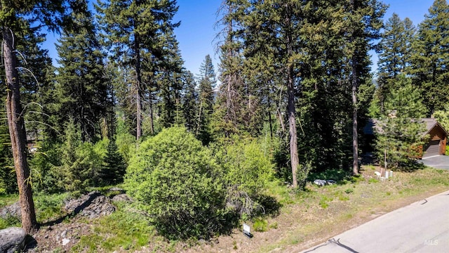 TBD Majestic View Dr, Mccall, ID 83638