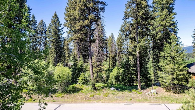 TBD Majestic View Dr, Mccall, ID 83638